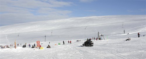 Subaru Forester Ski-DH 57